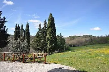 Tabaccaia